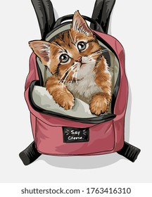 cute cat pink backpack illustration