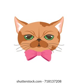 Cute cat in pink bow tie, funny cartoon animal character vector illustration