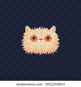 Cute cat. Pixel art. Cat head. Fluffy animal Stickers design. Isolated vector illustration. 