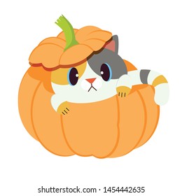 The cute cat plat with the pumpkin in the flat vector style. 