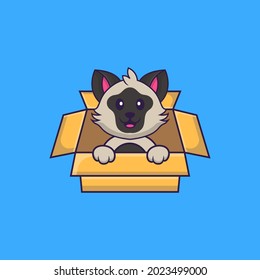 Cute cat Playing In Box. Animal cartoon concept isolated. Can used for t-shirt, greeting card, invitation card or mascot.