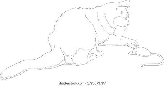 Cute cat playing with mouse