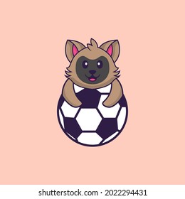 Cute cat playing soccer. Animal cartoon concept isolated. Can used for t-shirt, greeting card, invitation card or mascot.