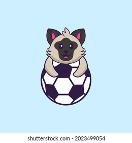 Cute cat playing soccer. Animal cartoon concept isolated. Can used for t-shirt, greeting card, invitation card or mascot.