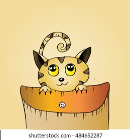Cute Cat in the pocket