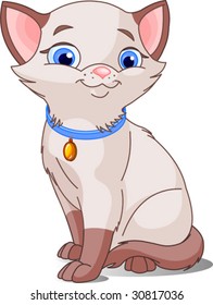 Cute Cat, pointed siamese. Vector illustration