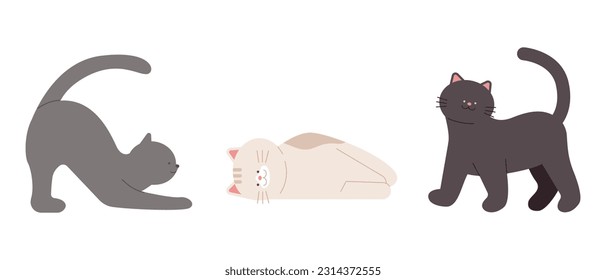 Cute cat. Pose of a black, gray, white cat.