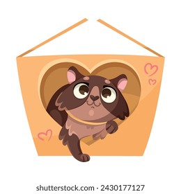 Cute Cat with Pretty Snout in Love Peep Out Heart Hole of Cardboard Box Vector Illustration