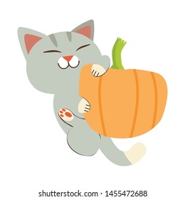 The cute cat with the pumpkin in the flat vector style. Illustration for graphic,content , banner, sticker.