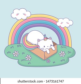 cute cat with rainbow tail in carton box kawaii character