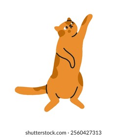 Cute cat reaching, stretching up with paw. Funny feline, comic humor kitty standing upright in asking pose, curious expression, behavior. Flat vector illustration isolated on white background