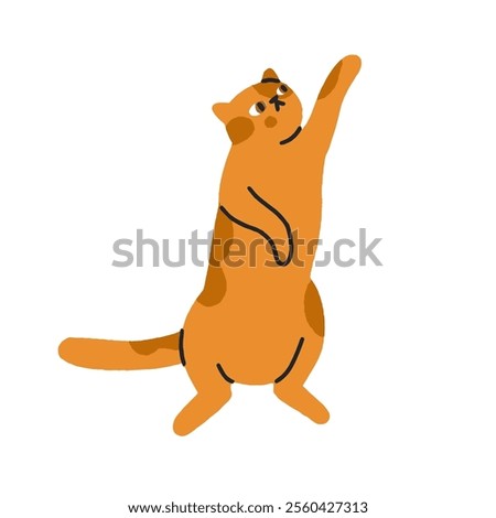 Cute cat reaching, stretching up with paw. Funny feline, comic humor kitty standing upright in asking pose, curious expression, behavior. Flat vector illustration isolated on white background