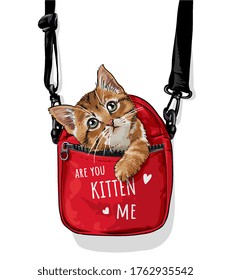 cute cat in red carry bag illustration