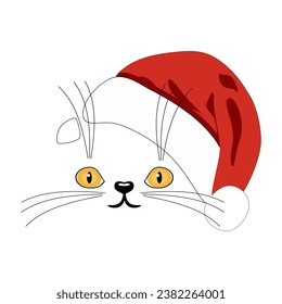 Cute cat in red Christmas hat on white background 