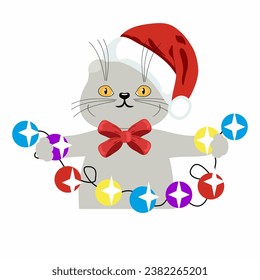 Cute cat in red Christmas hat on white background 