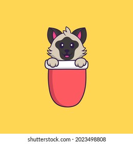 Cute cat in red pocket. Animal cartoon concept isolated. Can used for t-shirt, greeting card, invitation card or mascot.
