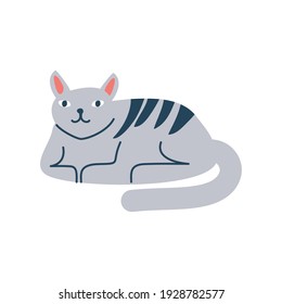 cute cat resting pet cartoon