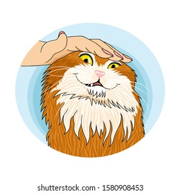 Cute cat round sticker on a white background.