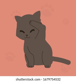The cute cat rubbing theire face ,kitty cat adorable