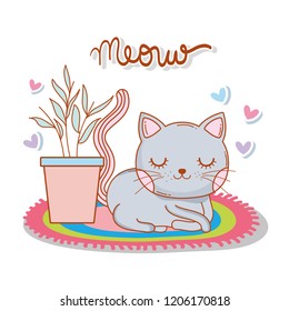 cute cat in the rug with plant and hearts