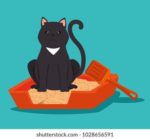 cute cat in sand box pet friendly