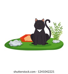 cute cat with sandbox in the grass
