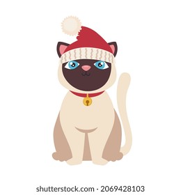 cute cat with santa hat