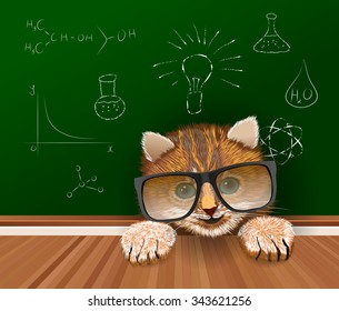 Cute cat scientist in black big glasses staying near the table in a classroom. Vector illustration