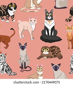 Cute cat seamless vector pattern on red background. Pet flat style illustration for branding, package, fabric and textile, wrapping paper