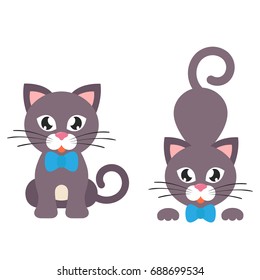 cute cat set