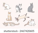 cute cat set, funny kitty, flat graphic vector