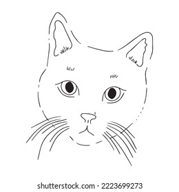 Un gato lindo. Gatos, narices y caras lindas. Patrón sin inconvenientes con los gatos.Colección de huellas con gatos.