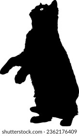 Cute Cat Silhouette vector illustration