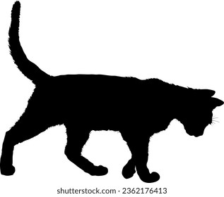 Cute Cat Silhouette vector illustration
