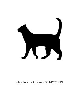 Cute cat silhouette white background