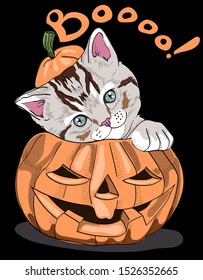 Cute cat sits in a pumpkin. Boooooo - lettering quote.  Halloween  Card, t-shirt composition, hand drawn style print. Vector illustration