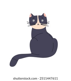 Cute cat sits turned its backside. Adorable kitten looks back. Fluffy kitty with black fur. Domestic animal, happy pet with furry tail relax. Flat isolated vector illustration on white background