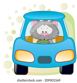 Cute Cat is sitting in a car 