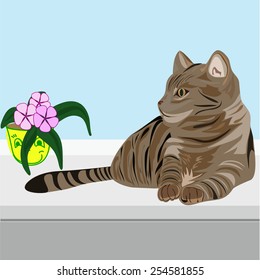 Cute cat sitting with flower, Sød kat sidder med blomst