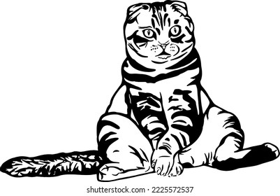 Cute Cat sitting an looking forward, line art illustrations 