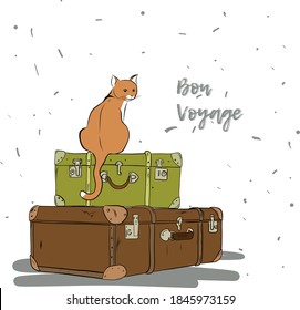 Cute cat sitting on the couple of suitcases, bon voyage illustration