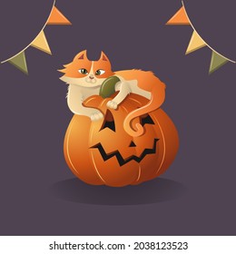 Cute cat  sitting on a Halloween pumpkin. Halloween card.