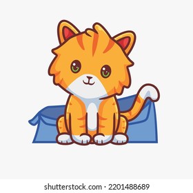cute cat sitting on his cardboard box. isolated cartoon animal illustration. Flat Style Sticker Icon Design Premium Logo vector. Mascot Character
