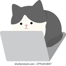Cute cat sitting on a laptop illustration