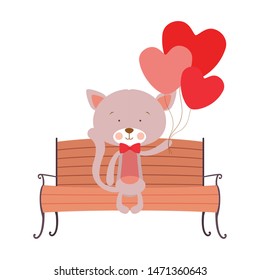 cute cat sitting on park chair