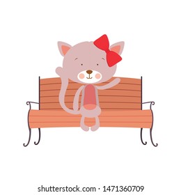 cute cat sitting on park chair