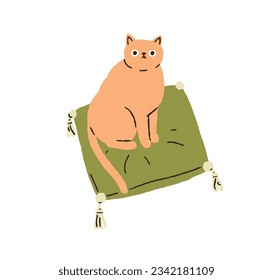 Cute cat sitting on pillow. Funny kitty looking, staring. Adorable kawaii feline animal on soft cushion. Lovely sweet home kitten. Flat vector illustration isolated on white background