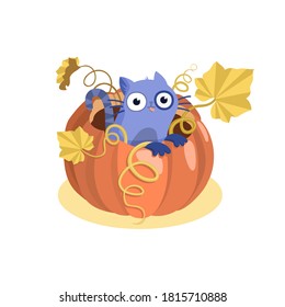 Cute cat sitting in a pumpkin in cartoon style. Teasing kitten shows tongue. Halloween and harvest Vector illustration isolated on white background. Suitable for postcards, stickers, children's party