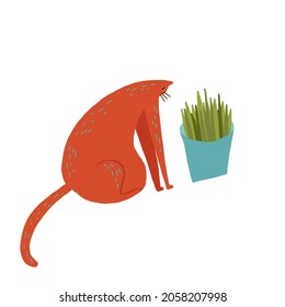 Cute cat sitting ready to eat fresh grass of plant in pot funny sticker for social media, messenger or card. Vector illustration in hand drawn flat cartoon style.
