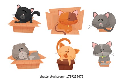 Juego de vectores de caja de cartón para sentarse y dormir un gato.